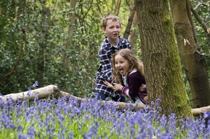 Bluebell Children's Portraits